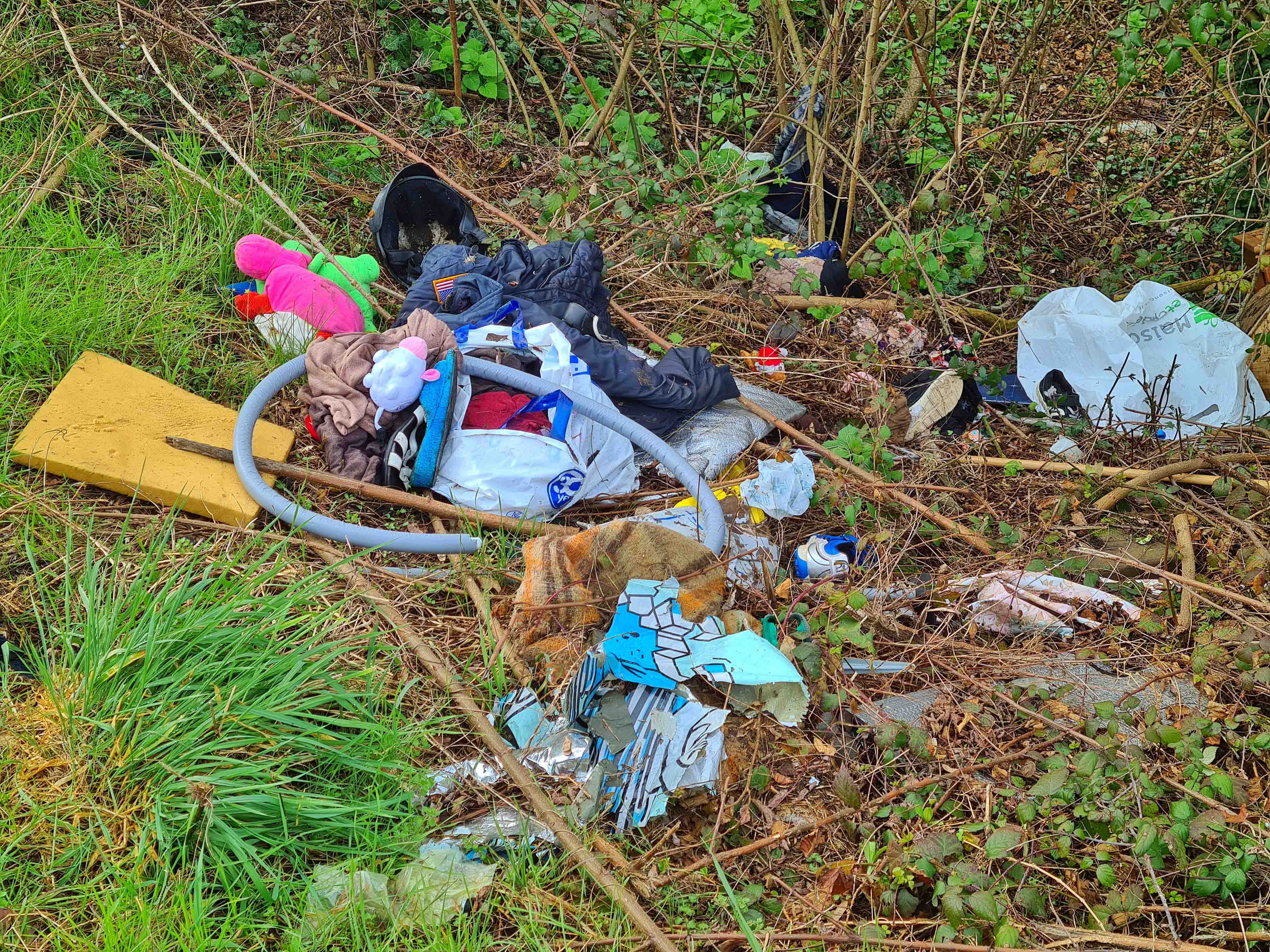 Copertina per Discarica a cielo aperto vicino all'Isonzo, il degrado scoperto a Gorizia